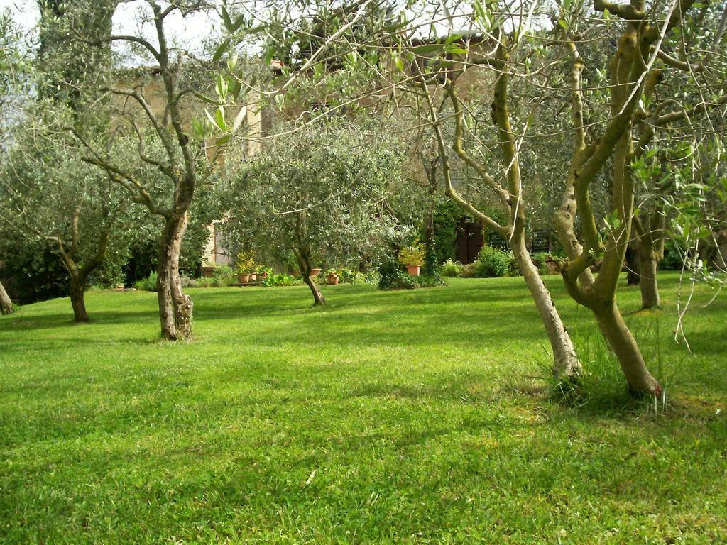 Podere Il Caggio Rooms San Gimignano Eksteriør billede