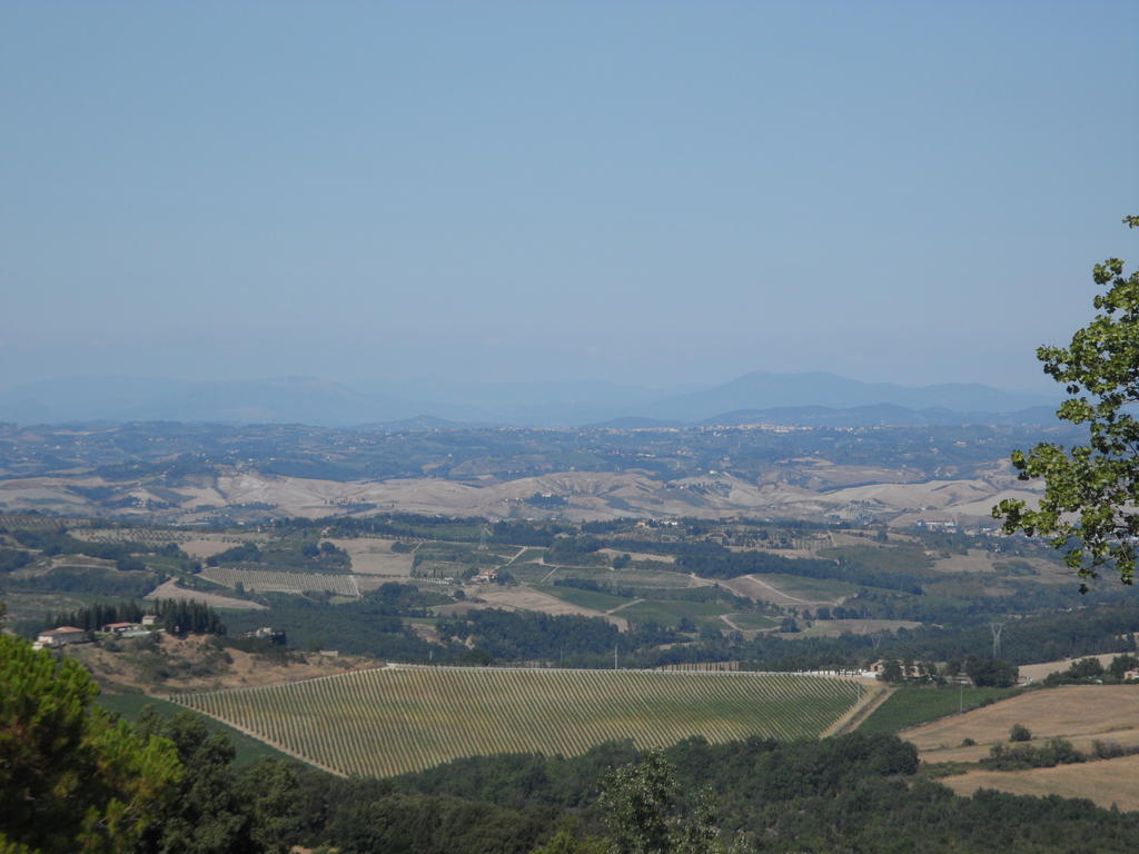 Podere Il Caggio Rooms San Gimignano Eksteriør billede